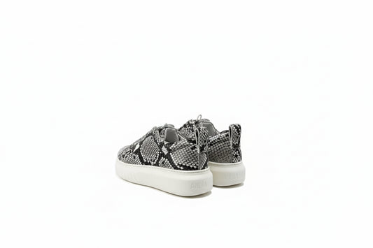 Andia Fora Libi Uni Pitone Trainer