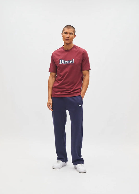 Diesel Walter T-Shirt Cranberry Red