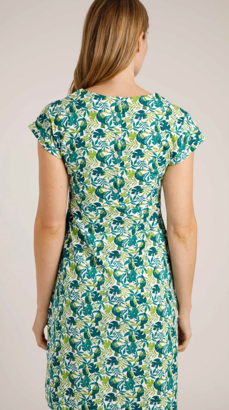 Weird Fish Tallahassee Organic Jersey Dress Kiwi Kiwi