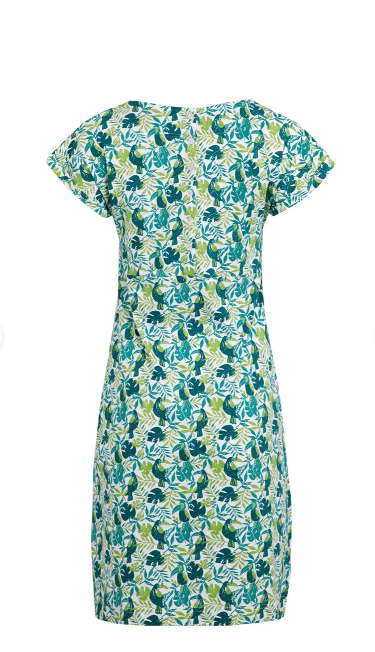 Weird Fish Tallahassee Organic Jersey Dress Kiwi Kiwi